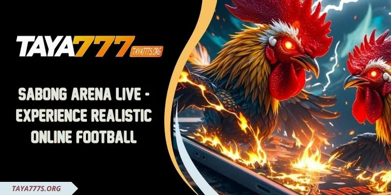Live cockfighting arena - Experience Realistic Online Football