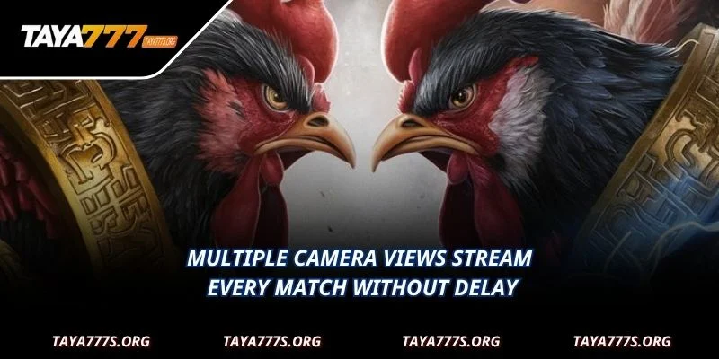 Multiple camera views stream every match without delay